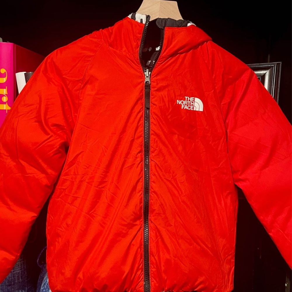 The North Face Men's Vibrant Red Puffer Jacket